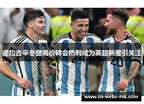 德拉古辛冬窗高价转会热刺成为英超新星引关注 德拉古辛冬窗高价转会热刺成为英超新星引关注